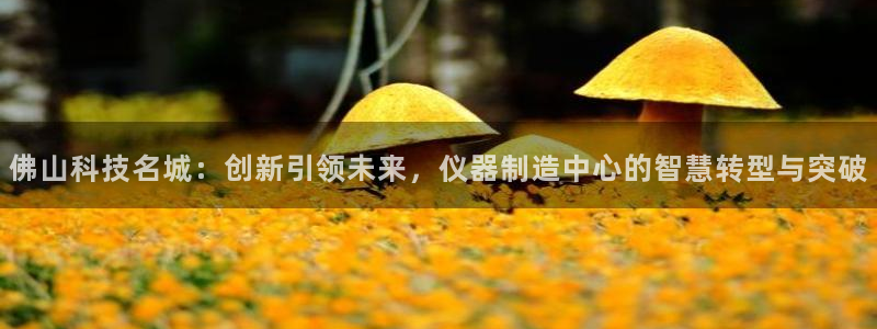 意昂体育3平台是正规平台吗：佛山科技名城：创新引领未来，仪器