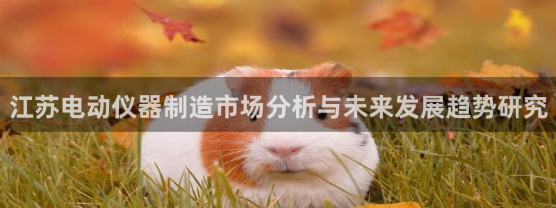 意昂3集团官网首页：江苏电动仪器制造市场分析与未来发展趋势研