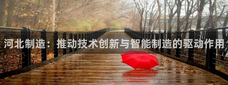 意昂体育3平台注册要钱吗：河北制造：推动技术创新与智能制造的