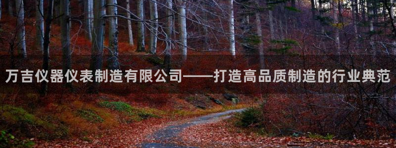 意昂体育3平台注册要钱吗安全吗：万吉仪器仪表制造有限公司——