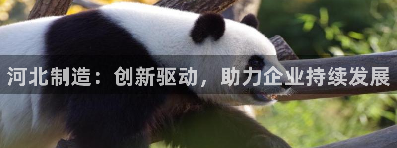 意昂3集团：河北制造：创新驱动，助力企业持续发展