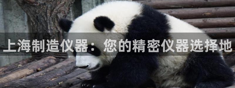 意昂体育3平台注册流程图：上海制造仪器：您的精密仪器选择地