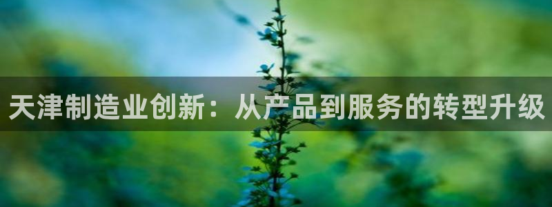 意昂体育3招商电话号码是多少号：天津制造业创新：从产品到服务