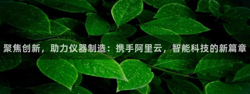 意昂3开户：聚焦创新，助力仪器制造：携手阿里云，智能科技的新