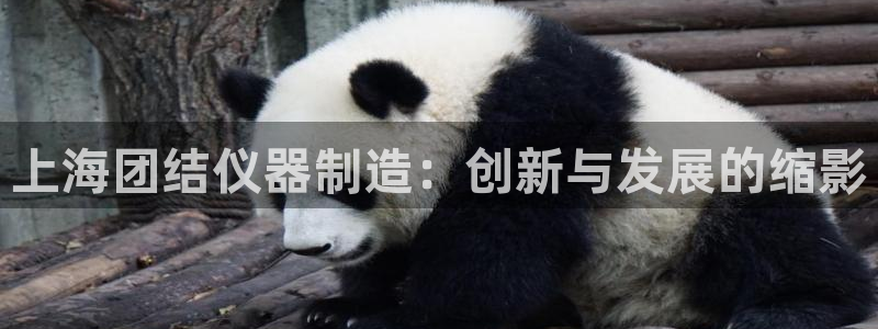 意昂3娱乐是那个系列的台子：上海团结仪器制造：创新与发展的缩