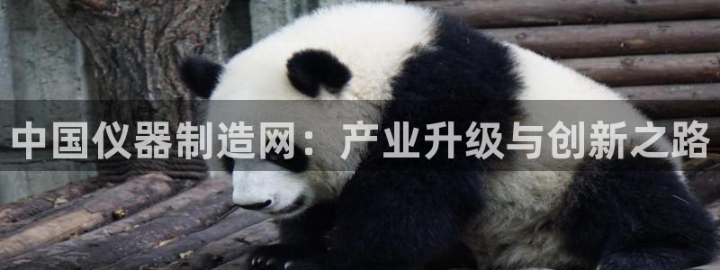 意昂3集团官网网址：中国仪器制造网：产业升级与创新之路