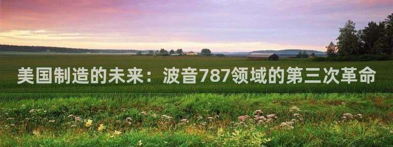 意昂体育3招商电话号码查询是多少：美国制造的未来：波音787