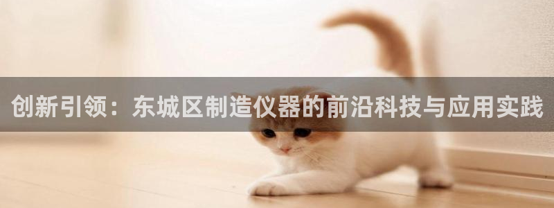 意昂体育3娱乐：创新引领：东城区制造仪器的前沿科技与应用实践