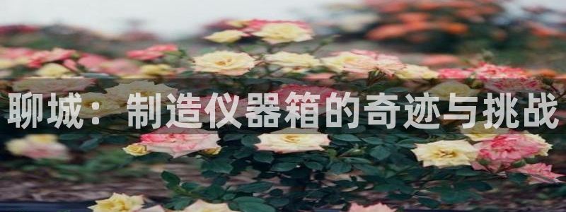 意昂体育3平台注册流程视频：聊城：制造仪器箱的奇迹与挑战