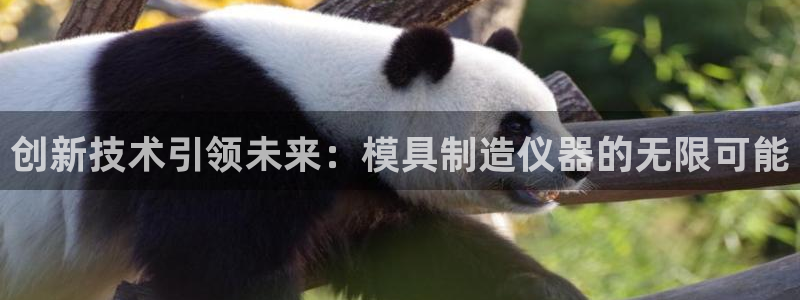 意昂3娱乐代理怎么样：创新技术引领未来：模具制造仪器的无限可