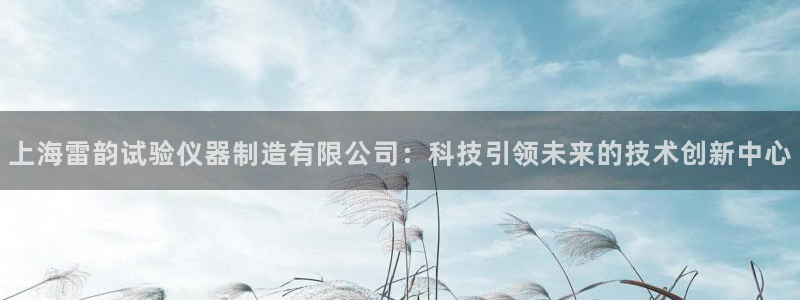 意昂体育3平台假的吗是真的吗吗：上海雷韵试验仪器制造有限公司