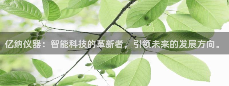 意昂3官方：亿纳仪器：智能科技的革新者，引领未来的发展方向。
