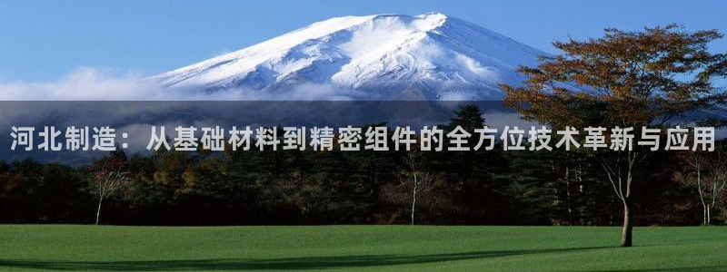 意昂体育3招商：河北制造：从基础材料到精密组件的全方位技术革