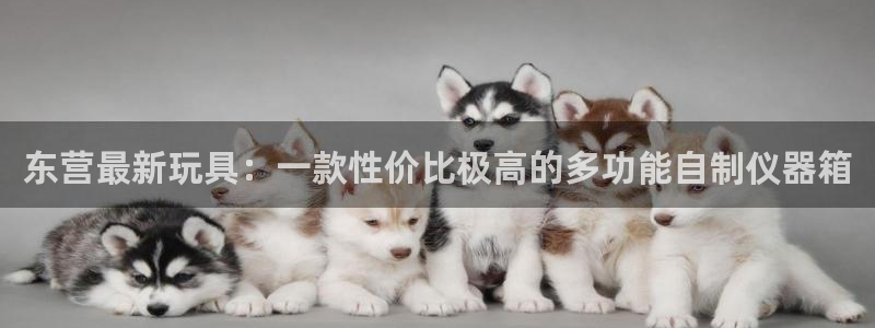 意昂体育3平台注册要钱吗：东营最新玩具：一款性价比极高的多功