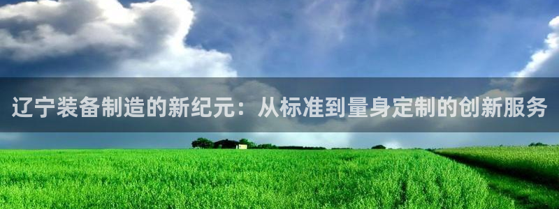 意昂3娱乐首页网站大全：辽宁装备制造的新纪元：从标准到量身定