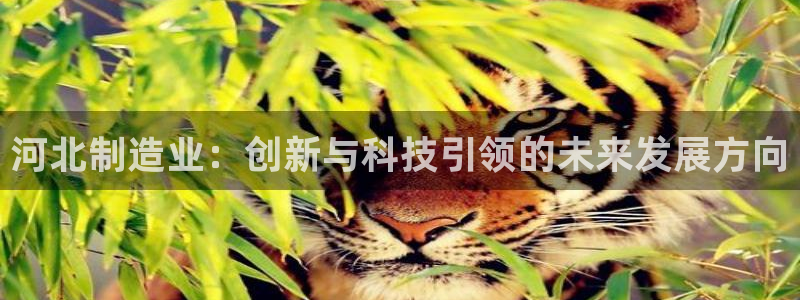 意昂体育3招商电话号码查询是多少：河北制造业：创新与科技引领