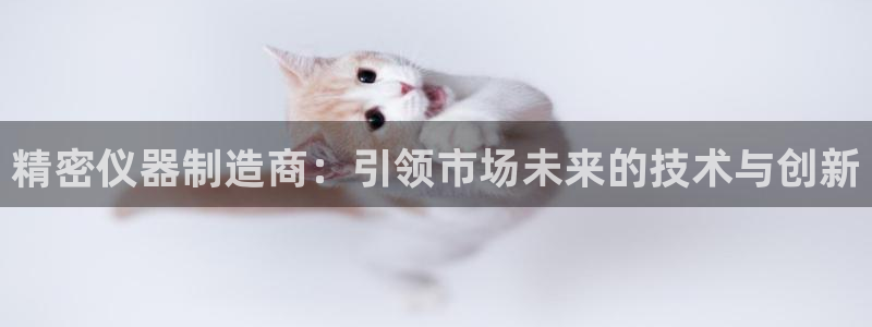 意昂3开户：精密仪器制造商：引领市场未来的技术与创新