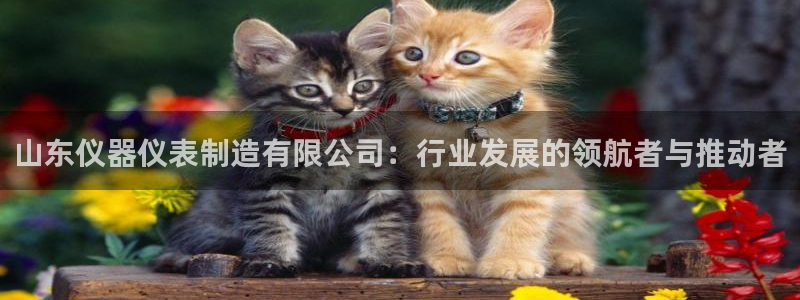 意昂平台体育：山东仪器仪表制造有限公司：行业发展的领航者与推