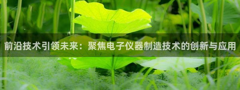 意昂体育3平台注册要钱吗安全吗：前沿技术引领未来：聚焦电子仪