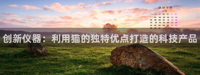 意昂3五金厂：创新仪器：利用猫的独特优点打造的科技产品