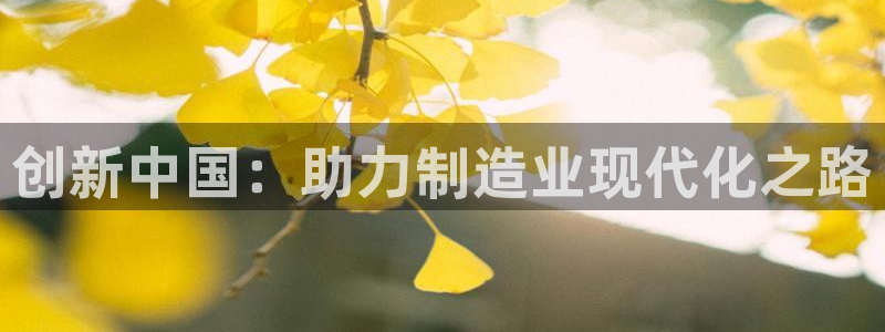 德国意昂3集团：创新中国：助力制造业现代化之路