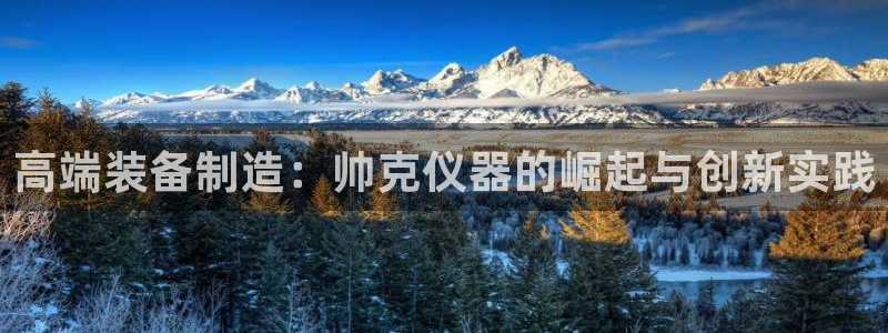 意昂体育3联系电话：高端装备制造：帅克仪器的崛起与创新实践