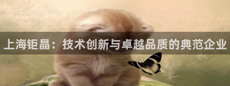 意昂体育3官方客服电话：上海钜晶：技术创新与卓越品质的典范企