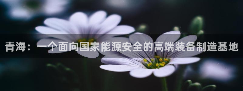 意昂体育3招商：青海：一个面向国家能源安全的高端装备制造基地
