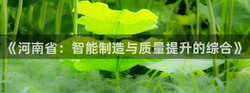 意昂体育3招商电话号码查询：《河南省：智能制造与质量提升的综