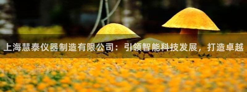 意昂3集团简介：上海慧泰仪器制造有限公司：引领智能科技发展，