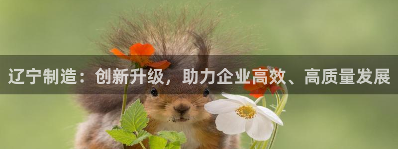 意昂体育3联系电话：辽宁制造：创新升级，助力企业高效、高质量