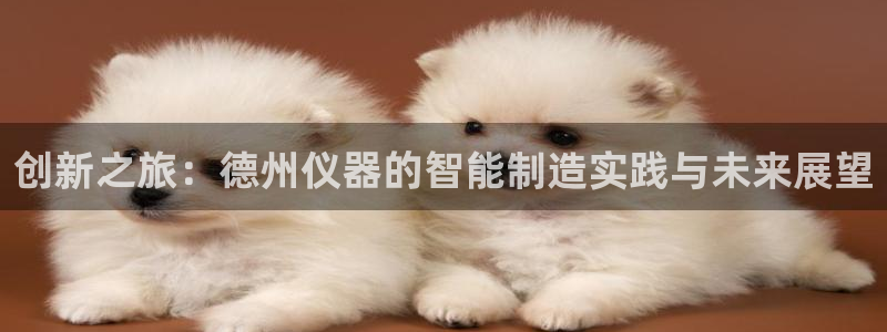 意昂体育3开户：创新之旅：德州仪器的智能制造实践与未来展望