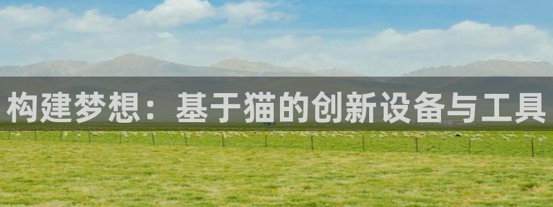 意昂体育3平台注册要钱吗：构建梦想：基于猫的创新设备与工具