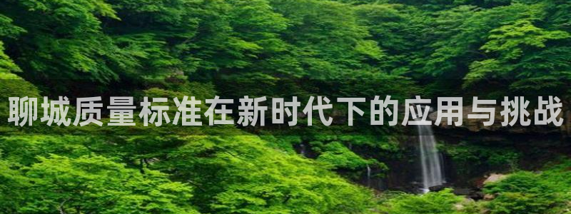 意昂3神州：聊城质量标准在新时代下的应用与挑战