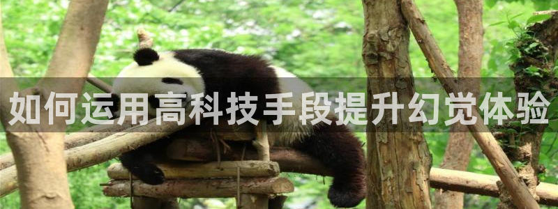 意昂体育3平台是正规平台吗安全吗：如何运用高科技手段提升幻觉