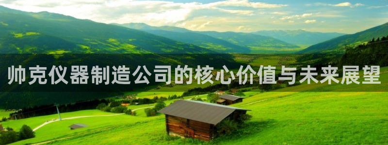 意昂3集团：帅克仪器制造公司的核心价值与未来展望