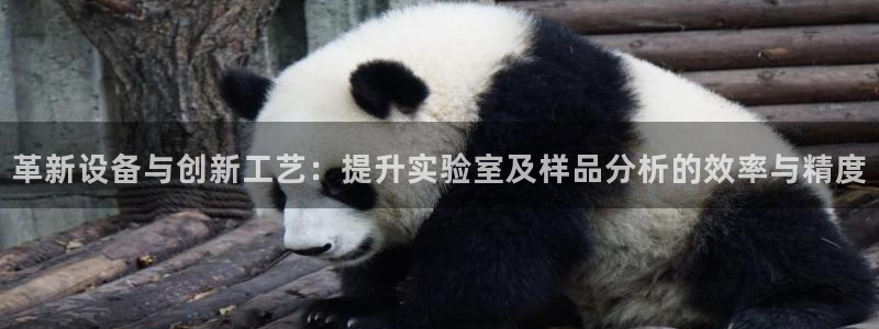 意昂体育3娱乐：革新设备与创新工艺：提升实验室及样品分析的效