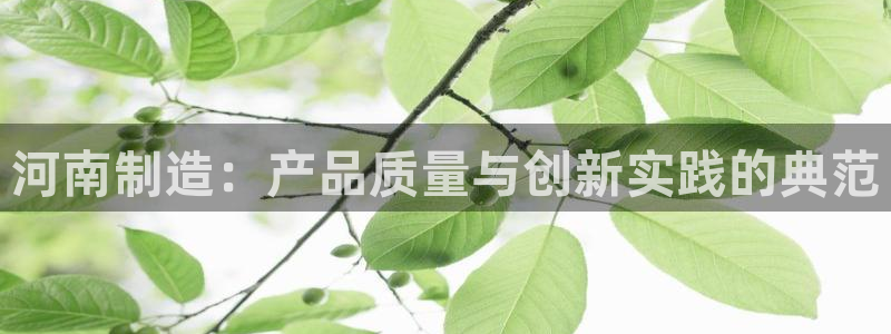 意昂体育3是干嘛的公司：河南制造：产品质量与创新实践的典范