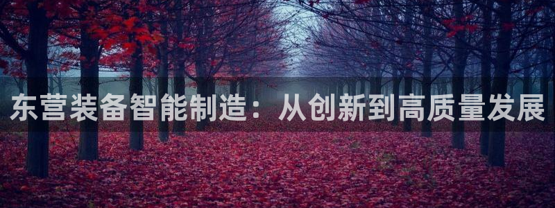 意昂体育3招商电话号码查询是多少：东营装备智能制造：从创新到