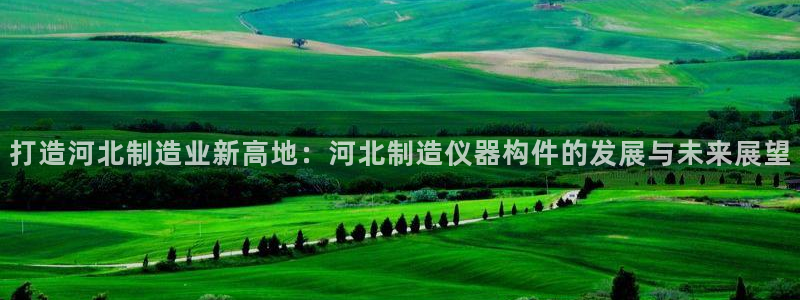 意昂3代理：打造河北制造业新高地：河北制造仪器构件的发展与未