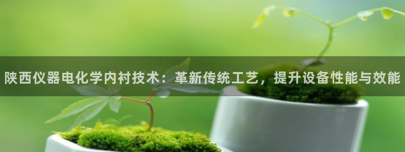 意昂3集团简介：陕西仪器电化学内衬技术：革新传统工艺，提升设