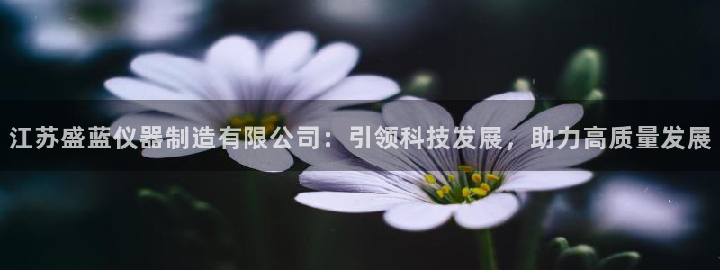 意昂3新能源：江苏盛蓝仪器制造有限公司：引领科技发展，助力高