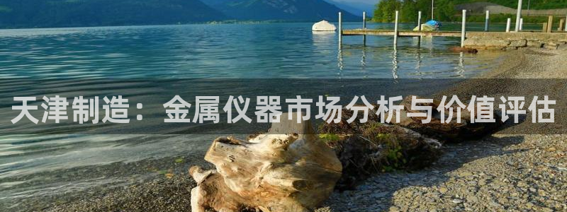 意昂3五金厂：天津制造：金属仪器市场分析与价值评估