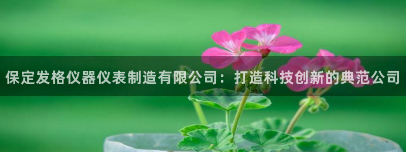 意昂3集团E.ON：保定发格仪器仪表制造有限公司：打造科技创